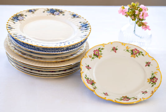 China Dinner Plate